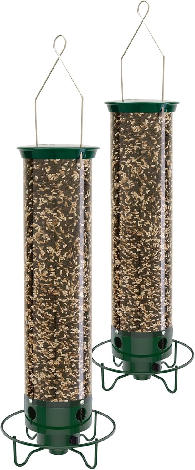 Squirrel Proof Bird Feeder